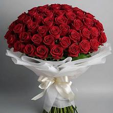 Букет 101 Красная роза Блэк Мэджик в Анди