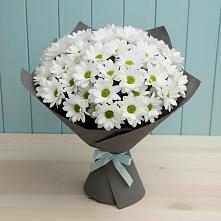 Букет цветов из:  Хризантемы #REPLACE_PRED# Анди