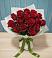 Букет Красные розы в Анди