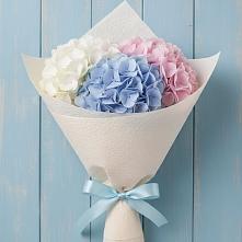 Букет цветов из:  Гортензия #REPLACE_PRED# Анди