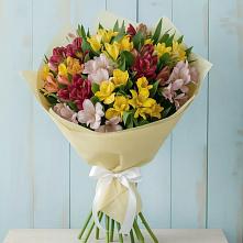 Букет цветов из:  Альстромерии в Анди