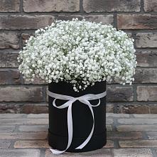 Цветочная композиция из Гипсофила в шляпной коробке в Анди