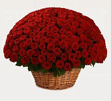 Премиум букет из: Розы в Анди