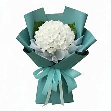 Букет цветов из:  Гортензия #REPLACE_PRED# Анди